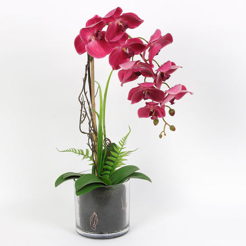 Nearly Natural Orchid Phalaenopsis Artificial Arrangement in Vase