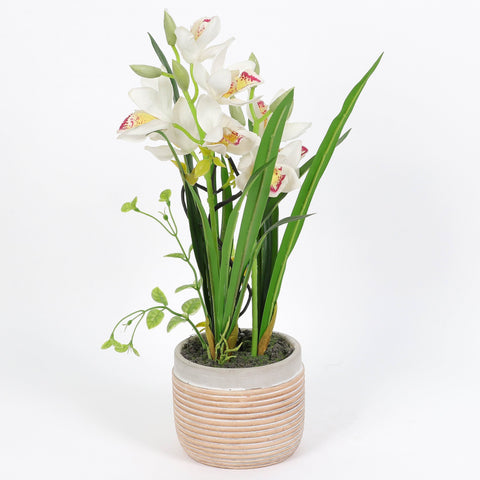 Nearly Natural Orchid Phalaenopsis Artificial Arrangement in Vase