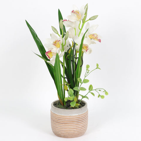Nearly Natural Orchid Phalaenopsis Artificial Arrangement in Vase