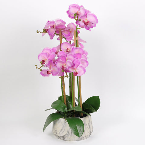 Nearly Natural Orchid Phalaenopsis Artificial Arrangement in Vase