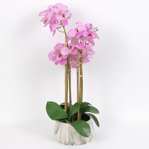 Nearly Natural Orchid Phalaenopsis Artificial Arrangement in Vase