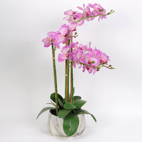Nearly Natural Orchid Phalaenopsis Artificial Arrangement in Vase