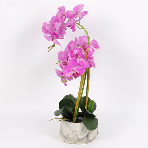 Nearly Natural Orchid Phalaenopsis Artificial Arrangement in Vase