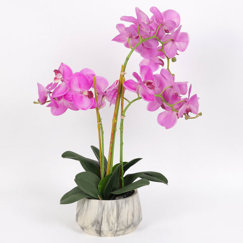 Nearly Natural Orchid Phalaenopsis Artificial Arrangement in Vase