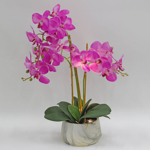 Nearly Natural Orchid Phalaenopsis Artificial Arrangement in Vase