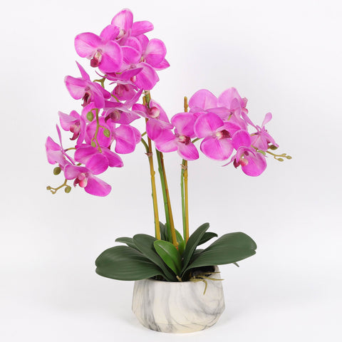 Nearly Natural Orchid Phalaenopsis Artificial Arrangement in Vase