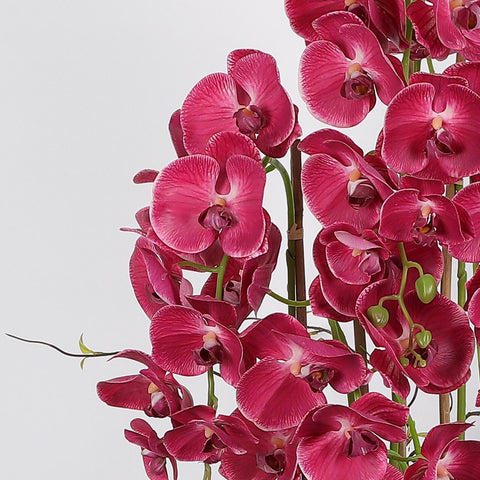 Nearly Natural Orchid Phalaenopsis Artificial Arrangement in Vase