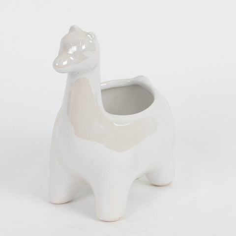 Ceramic Planter Decoration