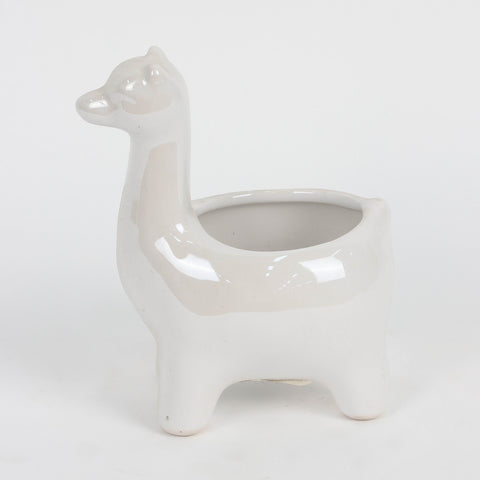 Ceramic Planter Decoration