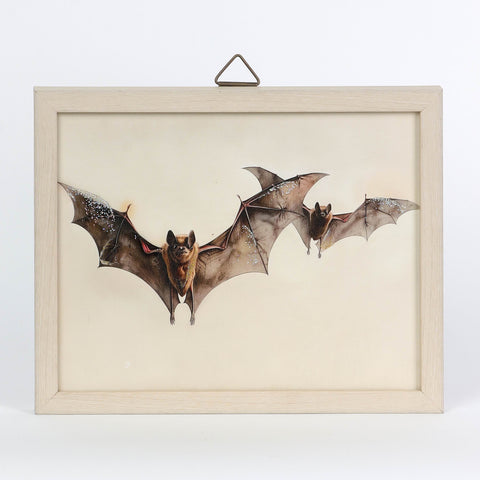 Halloween Wall Plaque
