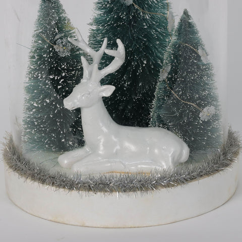 Christmas Glass Dome W/ Led Decor