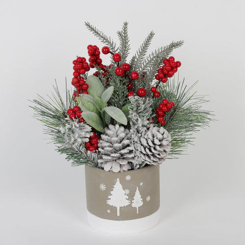 12In Cement Pot Arrn