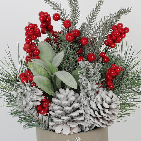 12In Cement Pot Arrn