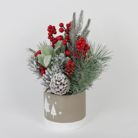 12In Cement Pot Arrn