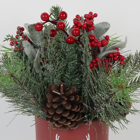 12"Rd Cement Pot Arr