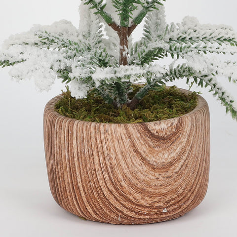 Dh Potted Flocking Tree 12.25 In