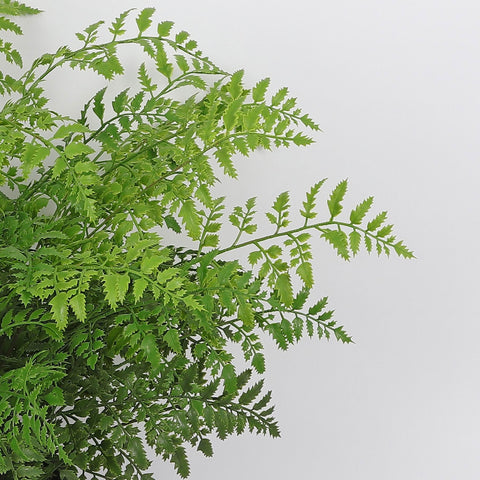 Greenery Décor | Home Decor | Interior Styling
