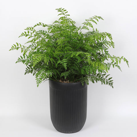Greenery Décor | Home Decor | Interior Styling