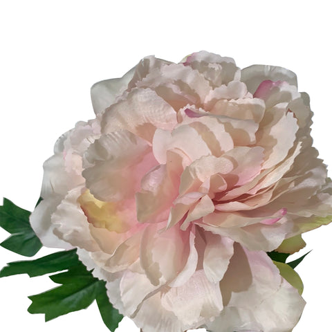 24" Blush Peony Spray