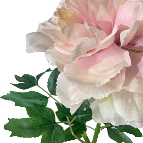 24" Blush Peony Spray