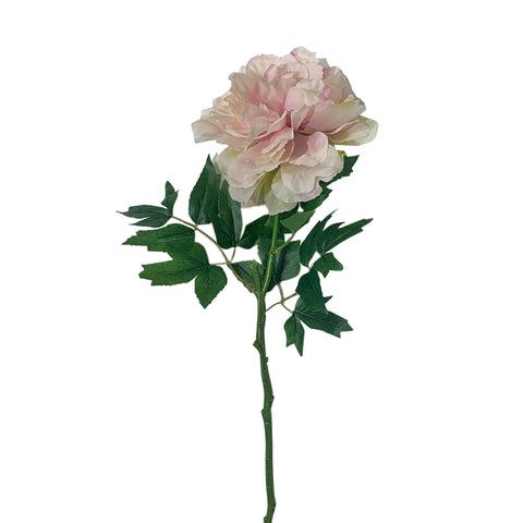 24" Blush Peony Spray