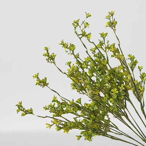 21.5" Yellow Sweet Veronica Bush X 11