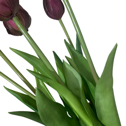 Fresh Touch Tulip Bundle-Plum