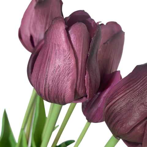 Fresh Touch Tulip Bundle-Plum