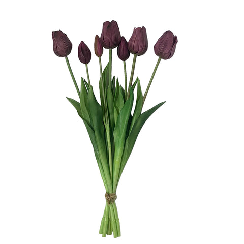 Fresh Touch Tulip Bundle-Plum