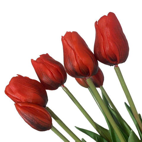 Fresh Touch Tulip Bundle-Red