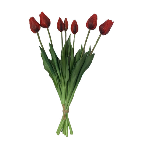 Fresh Touch Tulip Bundle-Red