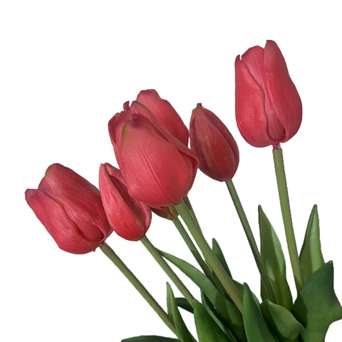 Fresh Touch Tulip Bundle-Rose