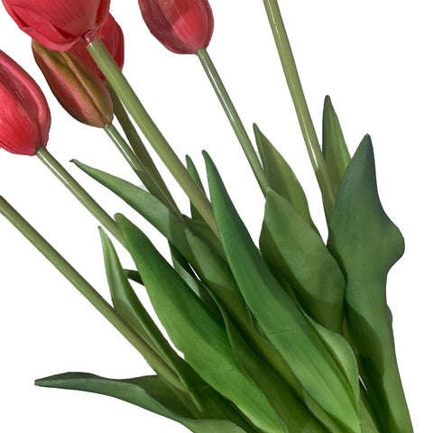 Fresh Touch Tulip Bundle-Rose