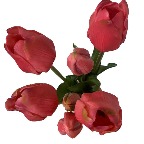 Fresh Touch Tulip Bundle-Rose