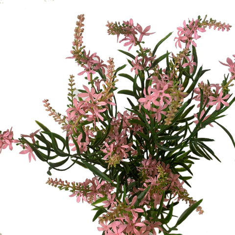 19" BUISSON DE VÉRONIQUE DOUCE ROSE X 10