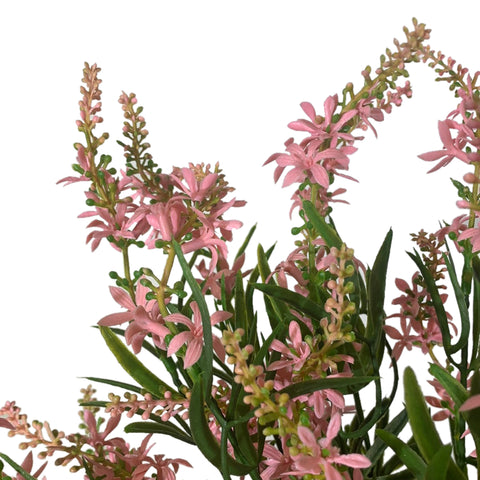 19" BUISSON DE VÉRONIQUE DOUCE ROSE X 10