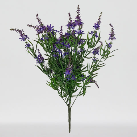 19" BUISSON DE VÉRONIQUE DOUCE VIOLET X 9