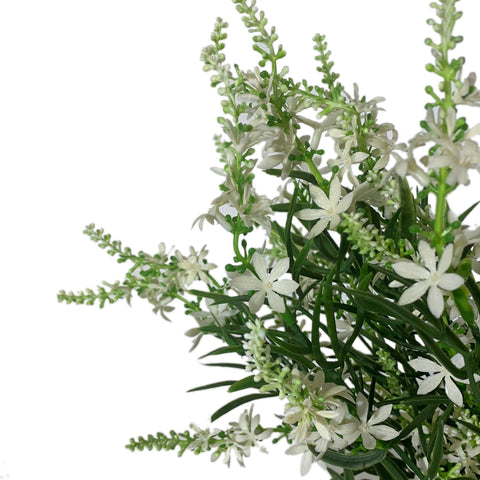 19" BUISSON DE VÉRONIQUE DOUCE BLANCHE X 10