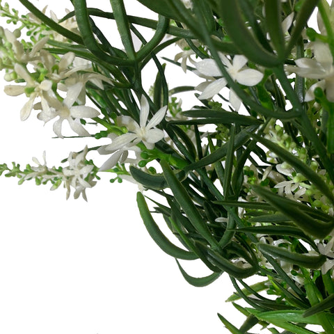 19" BUISSON DE VÉRONIQUE DOUCE BLANCHE X 10