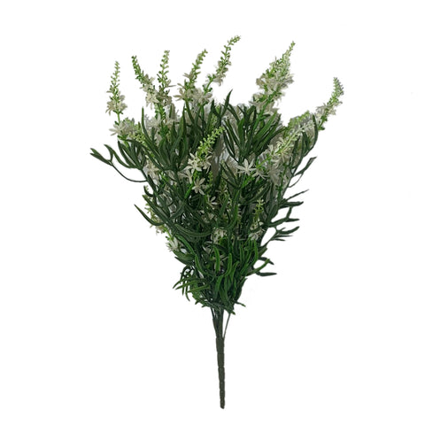 19" BUISSON DE VÉRONIQUE DOUCE BLANCHE X 10