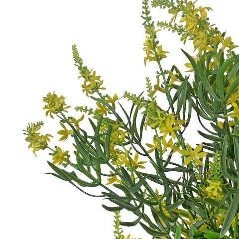 19" BUISSON DE VÉRONIQUE DOUCE JAUNE X 9