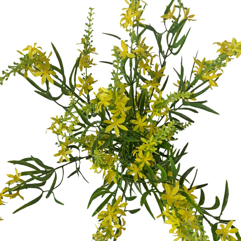 19" BUISSON DE VÉRONIQUE DOUCE JAUNE X 9