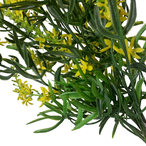 19" BUISSON DE VÉRONIQUE DOUCE JAUNE X 9