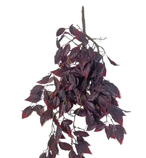 25" Burgundy Hanging Ficus Bush