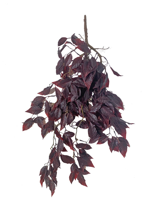 25" Burgundy Hanging Ficus Bush