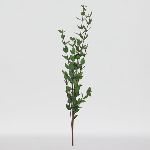 CHOIX VERT