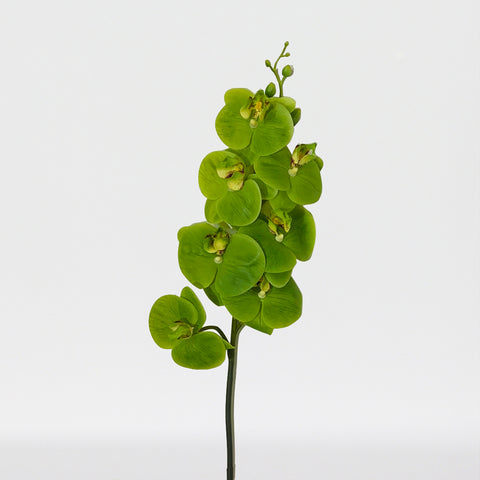Tige de phalaenopsis artificielle Real Touch