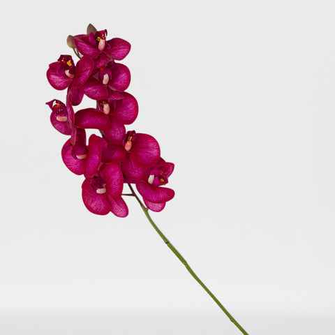 Tige de phalaenopsis artificielle Real Touch