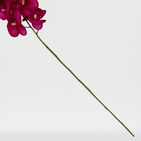 Tige de phalaenopsis artificielle Real Touch