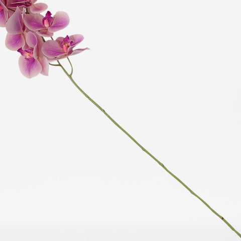 Tige de phalaenopsis artificielle Real Touch